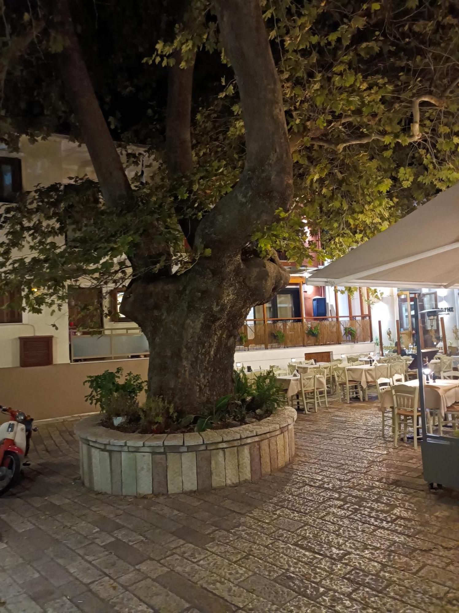 Kelly'S Penthouse Διαμέρισμα Ναύπακτος Εξωτερικό φωτογραφία